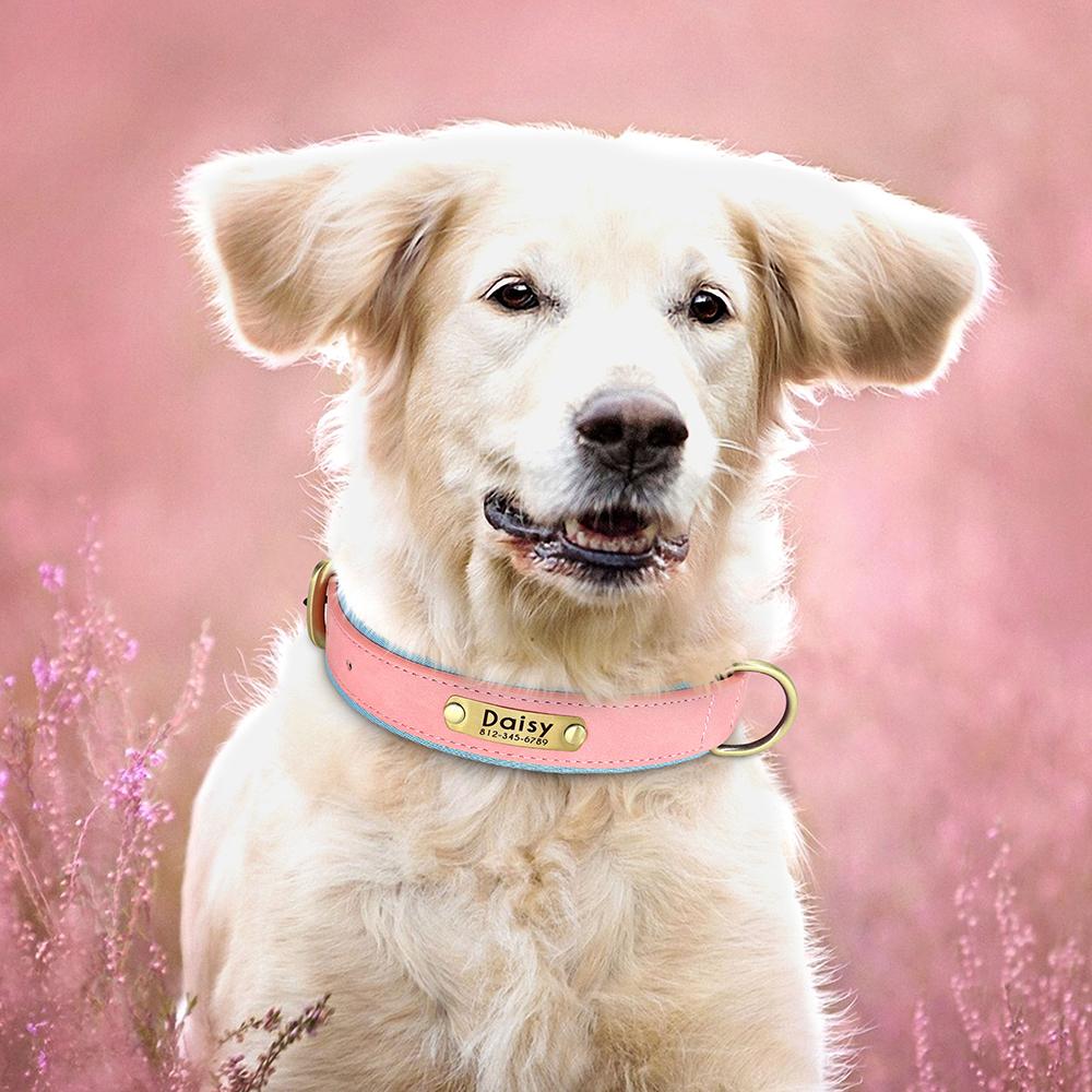 Personalized Dog Collar Leash PU Leather Dogs Collars Pet Rope Engraved Pet ID Name Necklace for Small Large Dogs Soft Padded