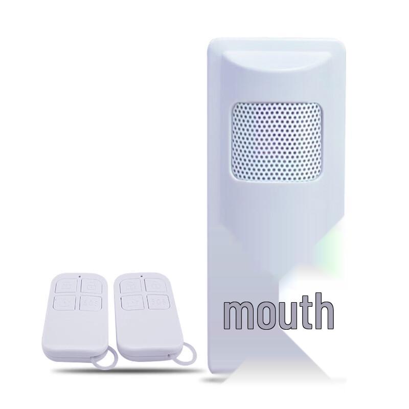 Standalone DC Infrared Voice Alarm