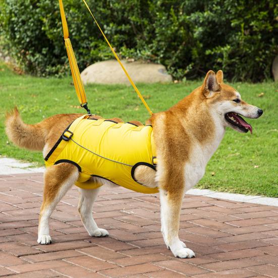 Nastavitelný zvedací postroj pro psa Pohodlný zvedací pás pro psa Prodyšná podpůrná smyčka pro staré, postižené, poranění kloubů, artritidu, procházku psa