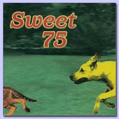 

CD SWEET 75 - Sweet 75 DGCD25140 DGC 1997 US Rock Used