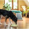 Slow Food Bowl for Dogs and Cats