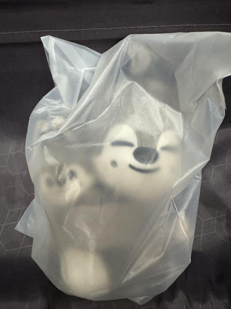 [USED] SKZOO MAGNET PLUSH SET Wolfchan