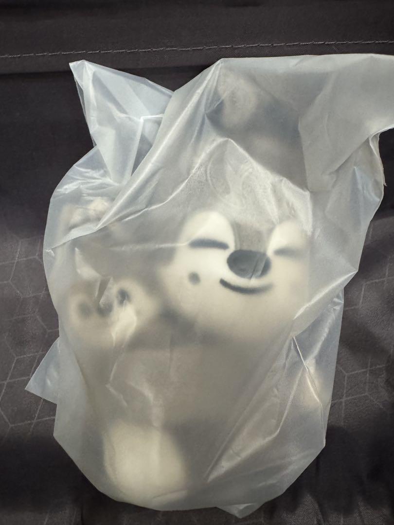 

[Б/У] НАБОР МАГНИТНЫХ ПЛЮШЕВЫХ ИГРУШЕК SKZOO Вольфчан