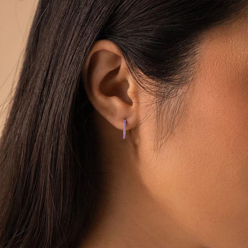

St. Delan Light Luxury Rhinestone Titanium Steel Earrings Steel Color