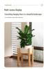 Cross-Shaped Plant Stand: Floor-standing Flower Shelf for Balcony or Living Room