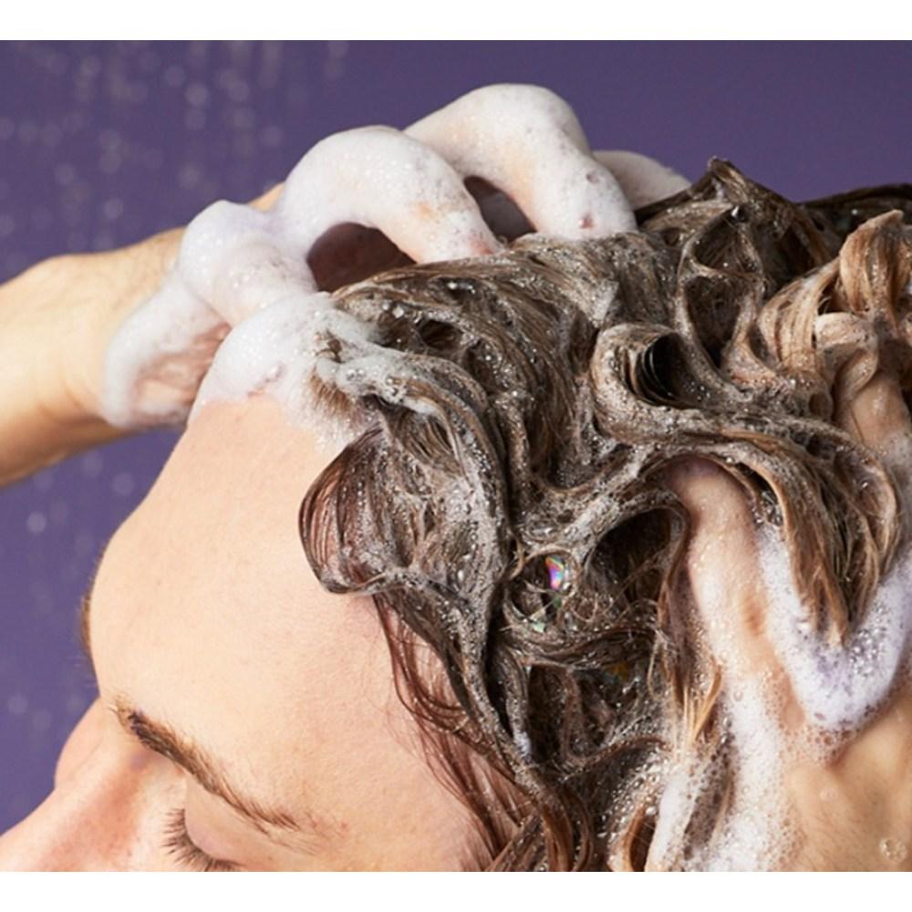 Lush Daddy Oh Shampoo Veilchen Ylang Ylang Duft, 500g, 1 Stück