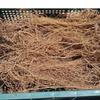500g Dried Nightshade Root