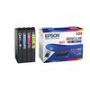 Epson Genuine Ink Cartridge IB09CL4B 4 Color Pack Large Capacity Ink