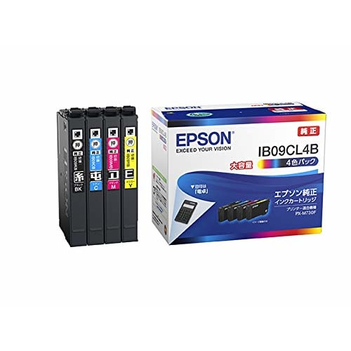 Epson genuine ink cartridge IB09CL4B 4 color pack large capacity ink