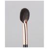 MSQ - Fan Highlighter Brush