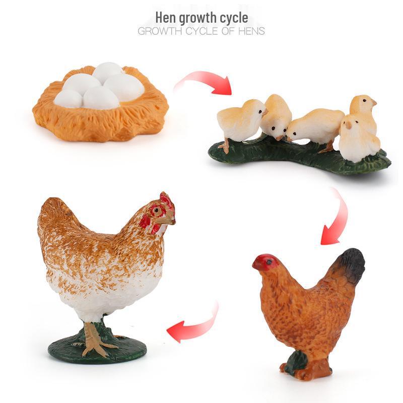 Miniature Farm Animal Models: Chickens, Ducks, Geese, and Cows