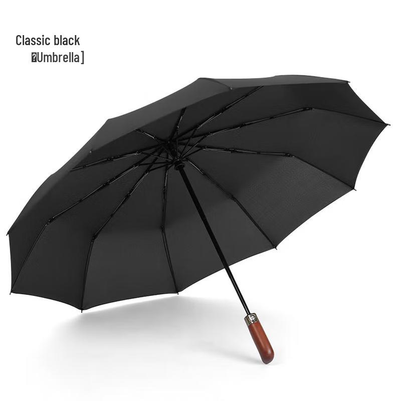 Xuqing 10-Rib Fully Automatic Folding Umbrella