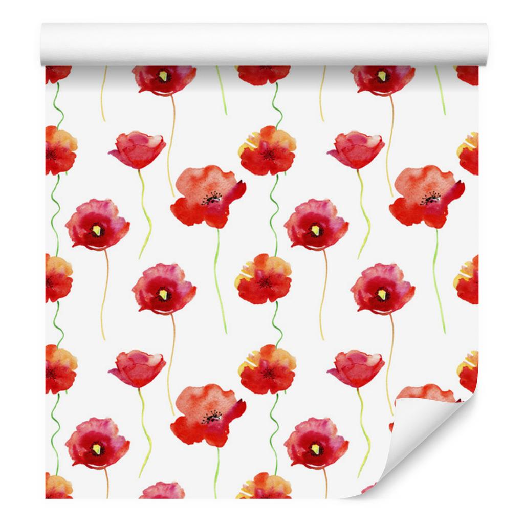 Watercolor Poppies Wallpaper for Living Room and Bedroom 50x1000