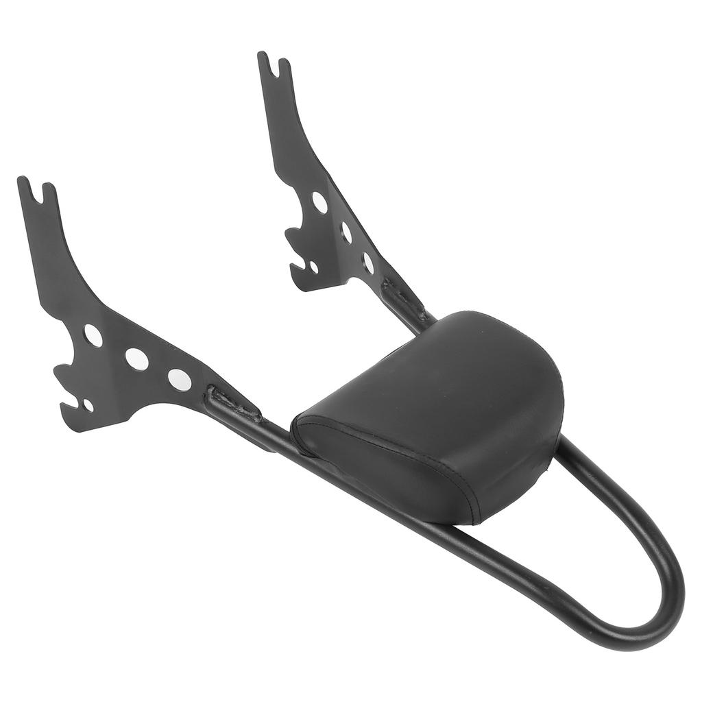 Detachable Motorcycle Backrest Bar Pad Kit Fit for XL883C XL883R 200R 200C XLH883 04-19