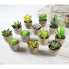 Simulate Potted Plant Cute Microlandschaft Home Office Hotel Decoration