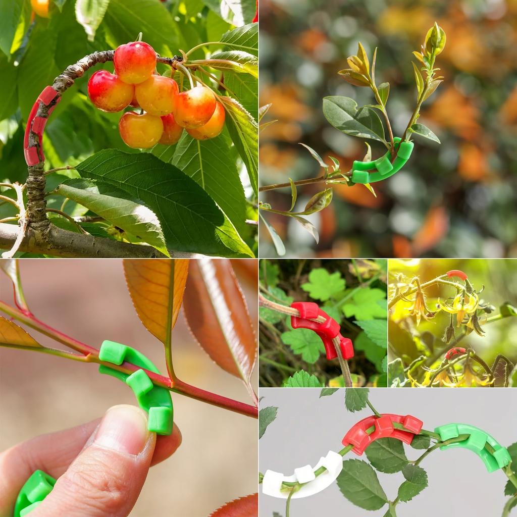Plant Stem Training Bending Clamps Garden Greenhouse Flower Vegetable Plant Vine Clips for Low Stress Plant Growth 10/20/50Pcs