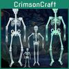 Spooky Luminous Skeleton For Halloween Décor