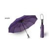10 Ribs Automatic Travel Umbrella Auto Open Close Compact Folding Rain Windproof