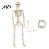 Life Size Posable Skeleton 36 Inches LED Light Up Halloween Skeleton, 3FT Full Body Props Plastic Human Bones with Movable Joints for Haunted