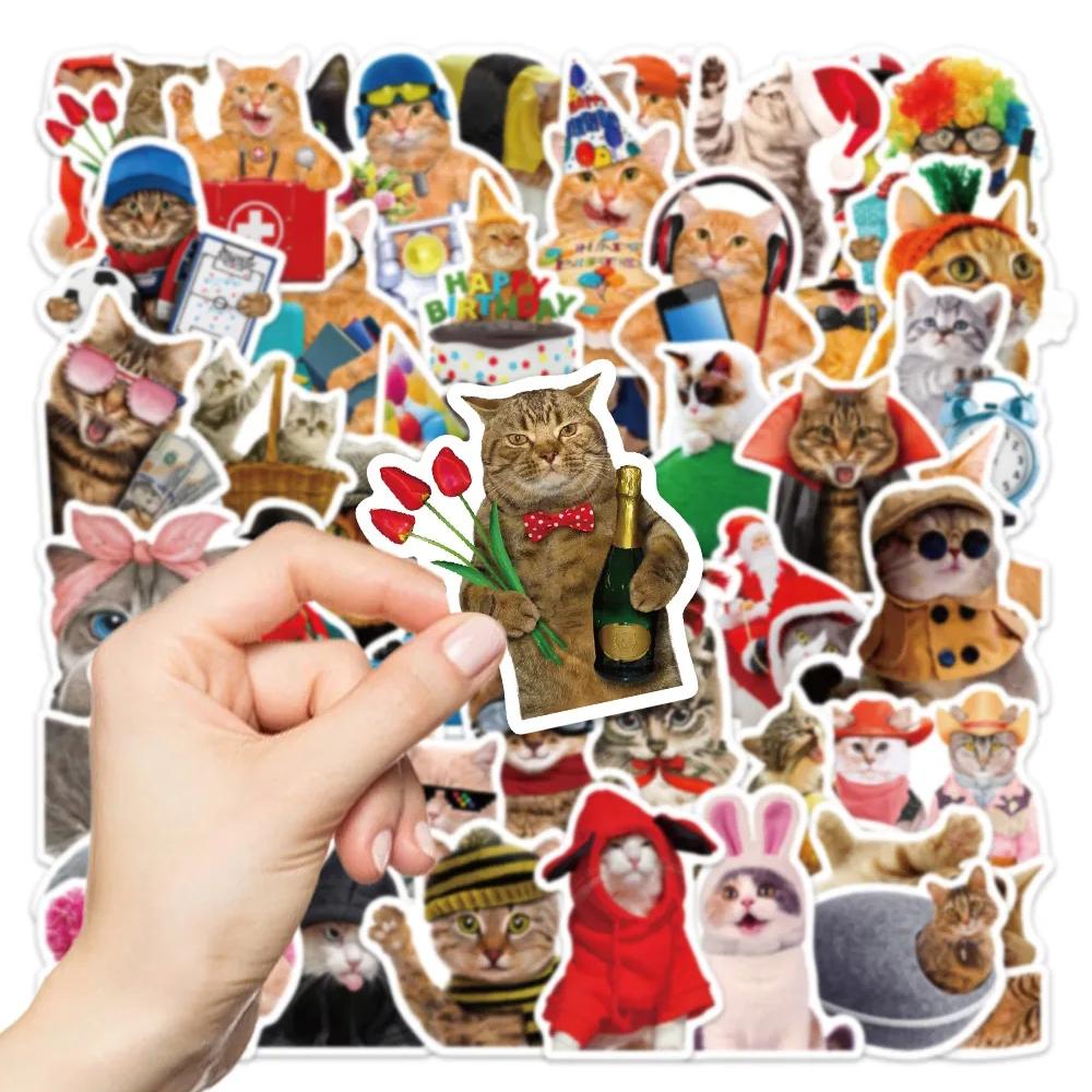 10/30/50pcs Funny Animal Cat Meme Graffiti Stickers Cute Kitten Decals Waterproof DIY Scrapbook Phone Laptop Bike Sticker Decor