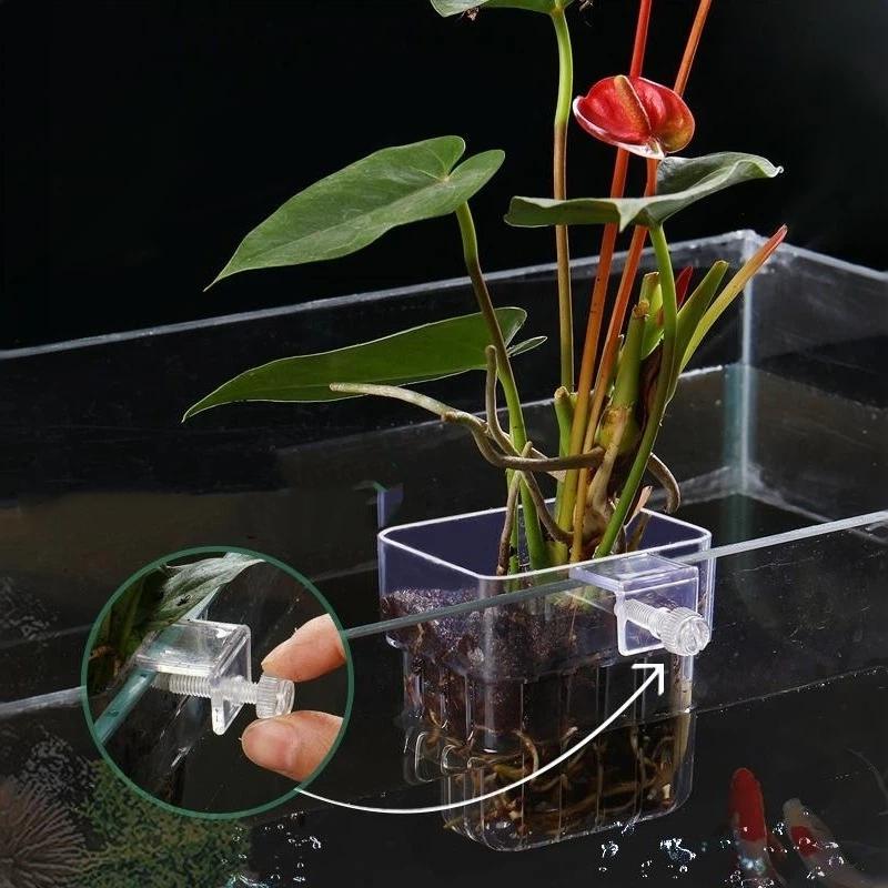 Transparent Hangable Aquarium Plant Holder Pot For Fish Tank Hydroponic System Indoor Workplace Decor Cultivation Decorations