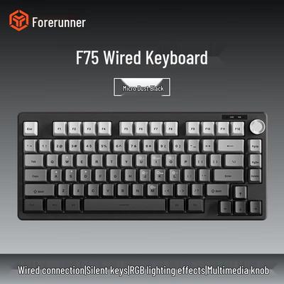 Qianxingzhe F75 RGB Przewodowa Klawiatura Mechaniczna