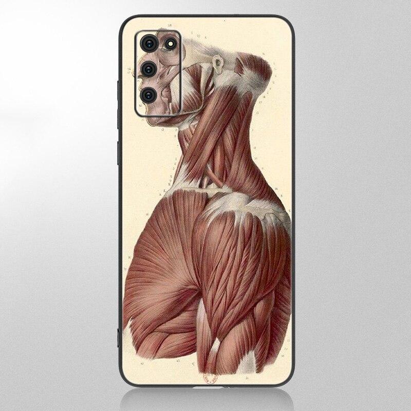 Medical Human Organs Brain Meridian Kidney High Case For Samsung Galaxy A12 A02S A22 A32 A52 A72 A71 A51 A41 A31 A21 A11 A50 A70