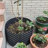 Air Pruning Plant Root Control Nursery Pots Trainer Fast Root Grow Container Garden Tree Bonsai Transplant Tool Fast Nersery Pot