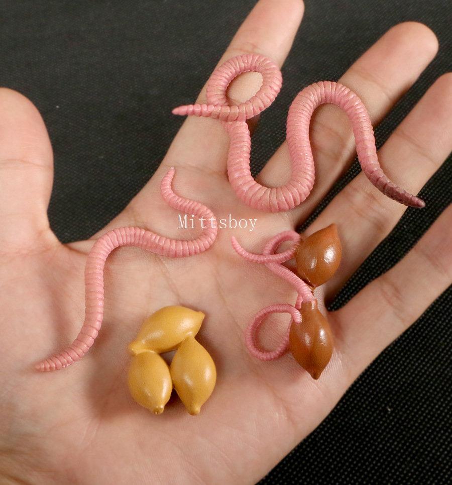 Montessori Wooden Lifelike Insect Animal Life Cycle Board Teaching Plant Animals Growth Cycle Model Set Preschool Cognitive Toy