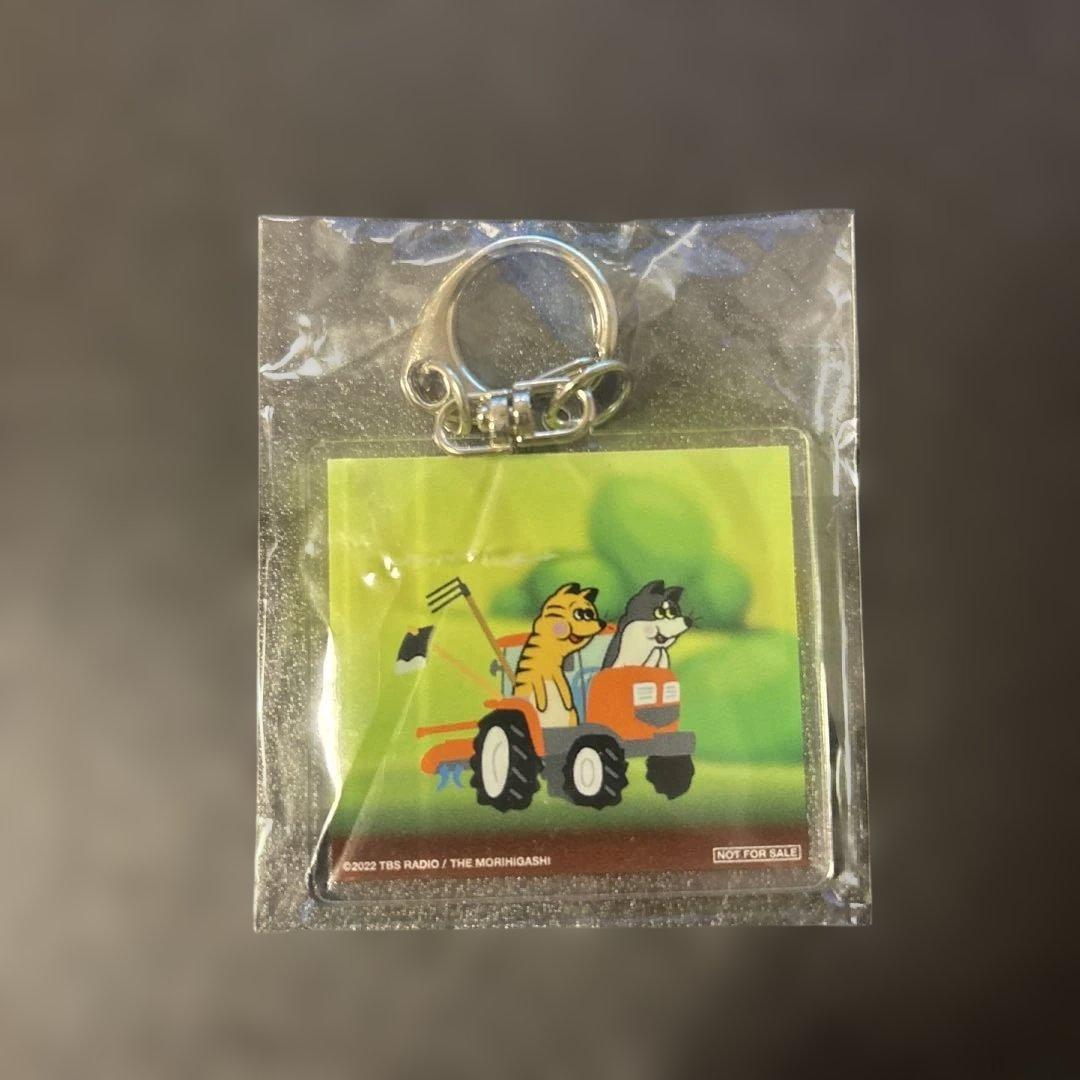 [USED] Farewell, Youthful Harvest - DVD First Pressing Bonus Keychain