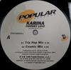 12-Zoll-Schallplatte KARINA Fantasy Love POP260121 BELIEBT 1996 US Dance Electronica Gebraucht