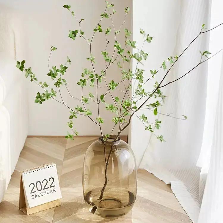 Vasă din sticlă transparentă pentru hidroponie Recipient din sticlă Vază cu flori transparentă Accesorii pentru aranjamente florale Terarium Decorare acasă