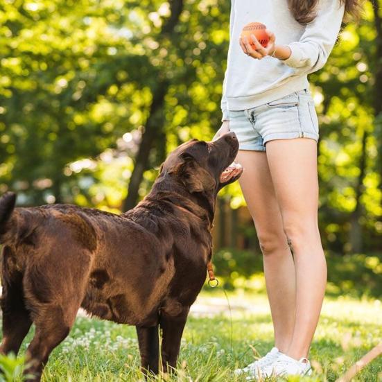 Vinylová Baseballová Pískací Hračka pro Psa Odolná proti Kousnutí Interaktivní Hračka pro Mazlíčky Malé Střední Velké Psy Hračka na Prořezávání Zubů Čistící Hračka