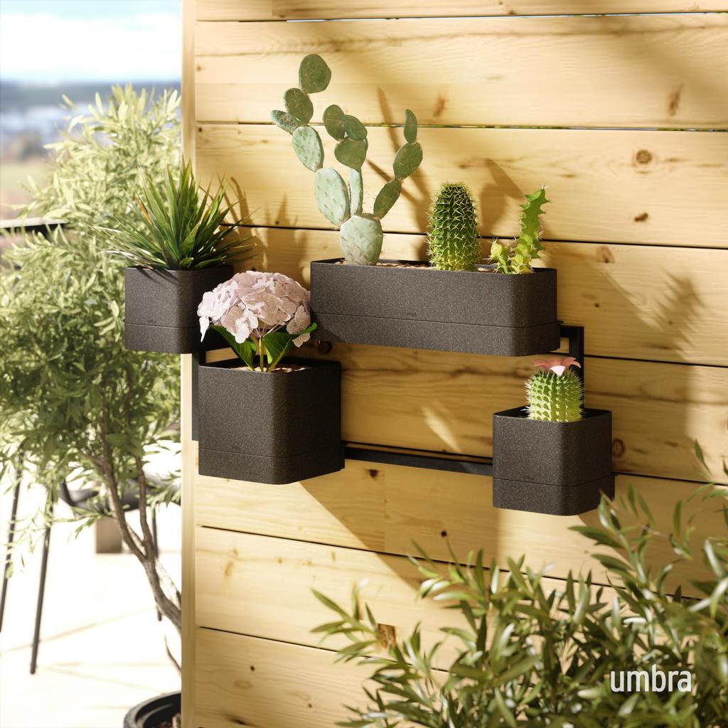Umbra Cubico Wall Black [Official] Planter,