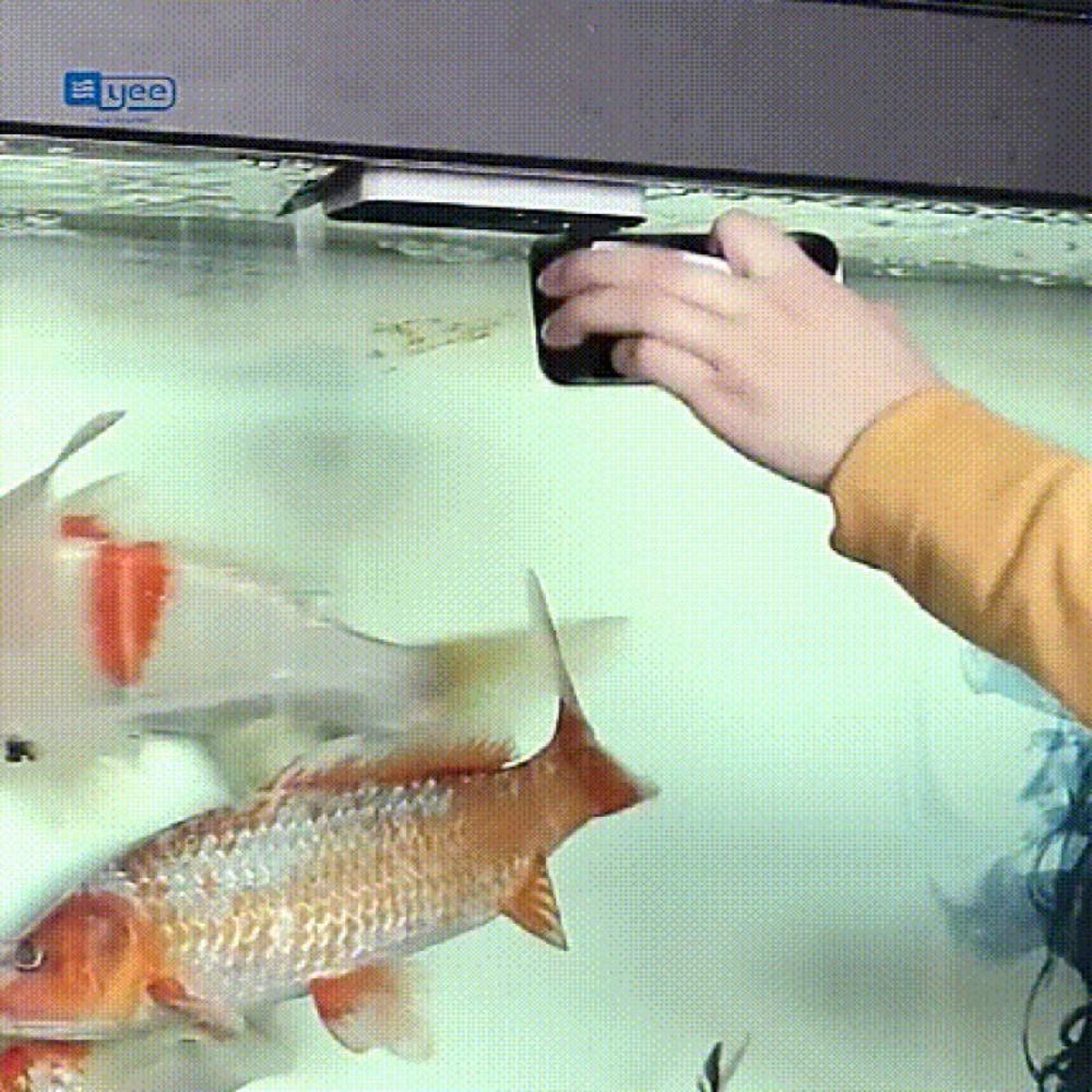 Strong Magnetic Aquarium Cleaner Brush Double-sided Algae Cleaning Wiper Cleaning Tool
