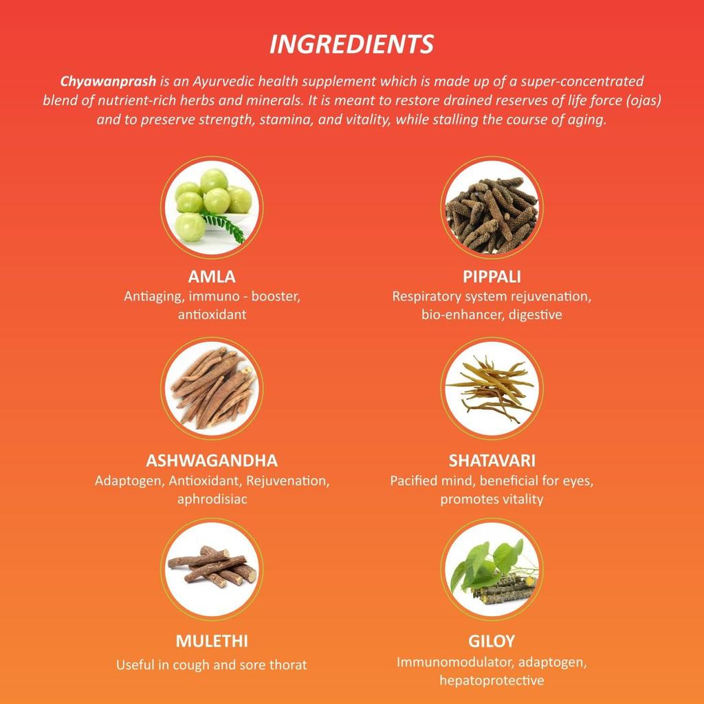 Baidyanath Chyawanprash 950G Ayurvedic Daily Health Supplement With 42+ Natural Herbs For All Age Groups