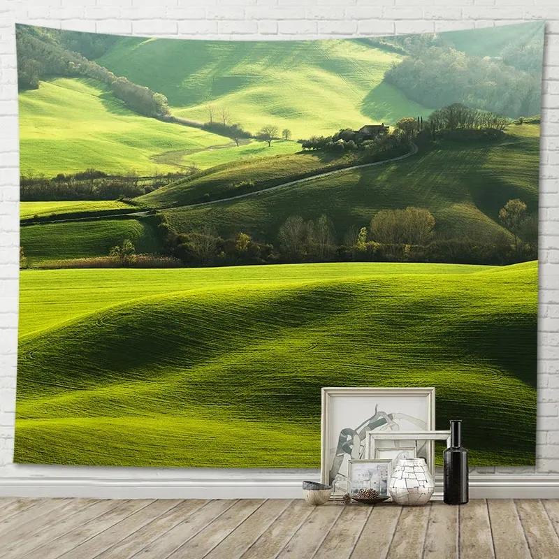 

Декоративный гобелен «Голубое небо и луга» для офиса, гостиной, домашнего настенного гобелена 100x75cm