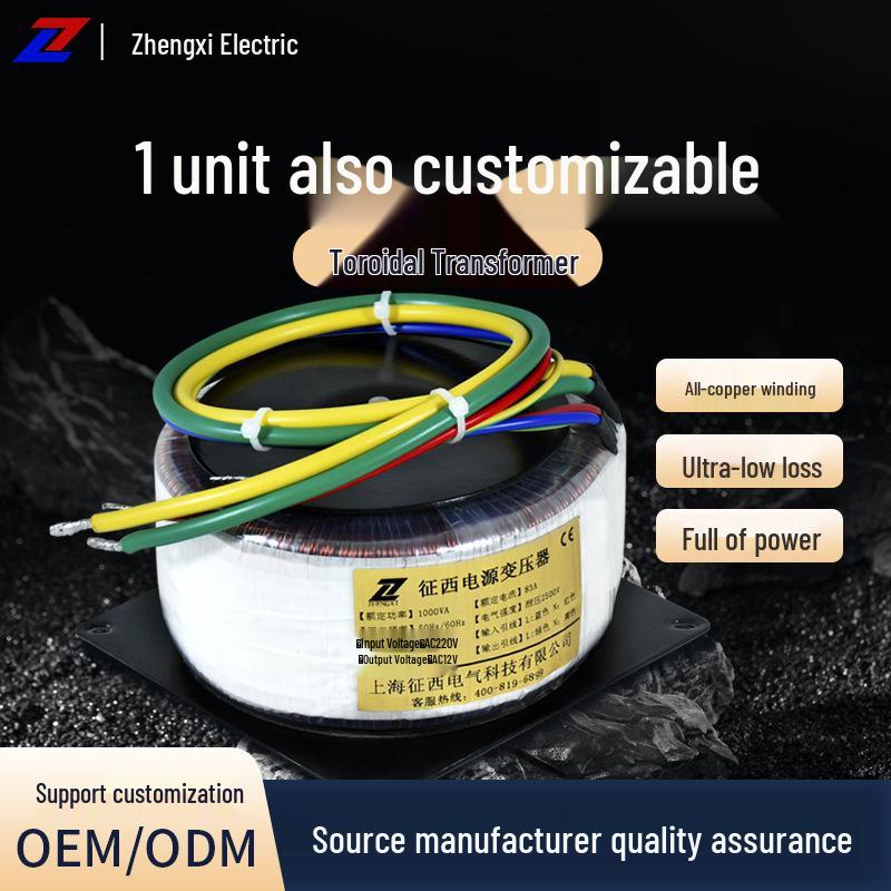 220V Toroidal Isolation Transformer - 24V Low-Frequency Voltage Converter for Power Amplifiers