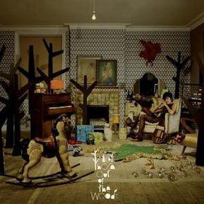 

CD TRACEY THORN Out Of The Woods 094638390121 Astralwerks 2007 US Dance Electronica Used