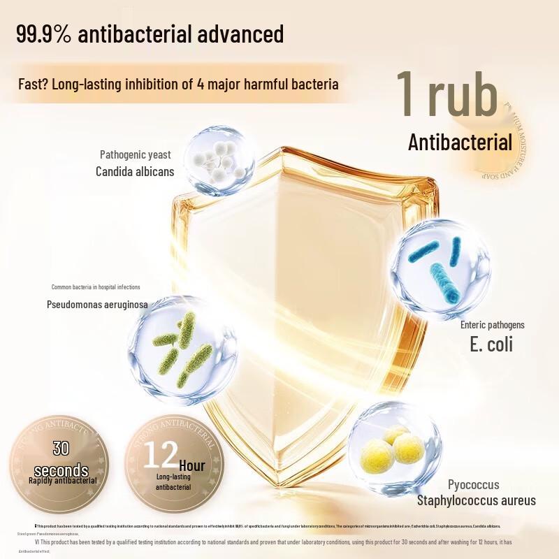 Lion Fun Clean Laurel Rose Foam Antibacterial Hand Wash Refill