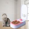 Automatic Electric Plastic Cat Food Dispenser Pet Feeder Pet Food Container Dog Feeding Bowl