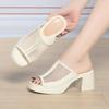Slippers Women In Summer Thick Heel Waterproof Platform Mesh Breathable Exposed Toe High Heel Soft Sole Ladies Sandals Elegant