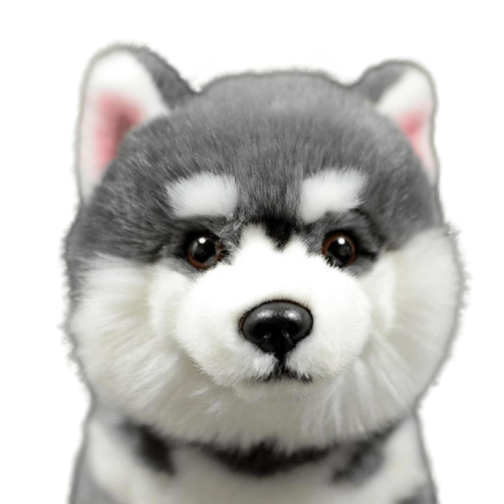 lilizzhoumax Alaska Dog Plush Toy, Realistic Stuffed Dog, Super Soft Plush Toy for Girls, Kids, Home Decor (Gray, 11 inches), Medium