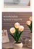 Elegant Tulip Night Light: High-End Decorative Bedside Lamp for Bedroom Ambiance