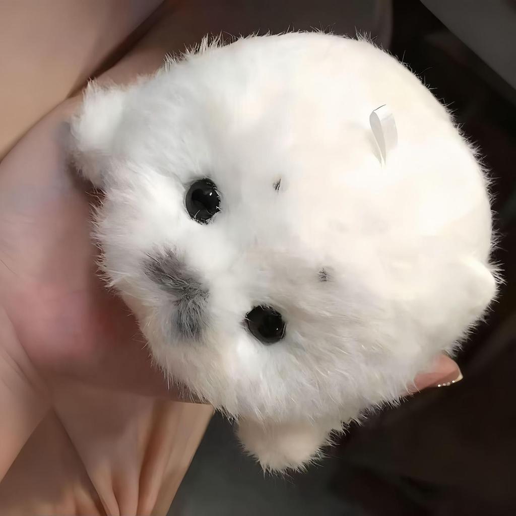 12cm Baby Seal Plush Toy Soft Cuddly White Marine Animal Stuffed Gift Adorable Black Eyes Grey Snout Soothing Comfort Decorative
