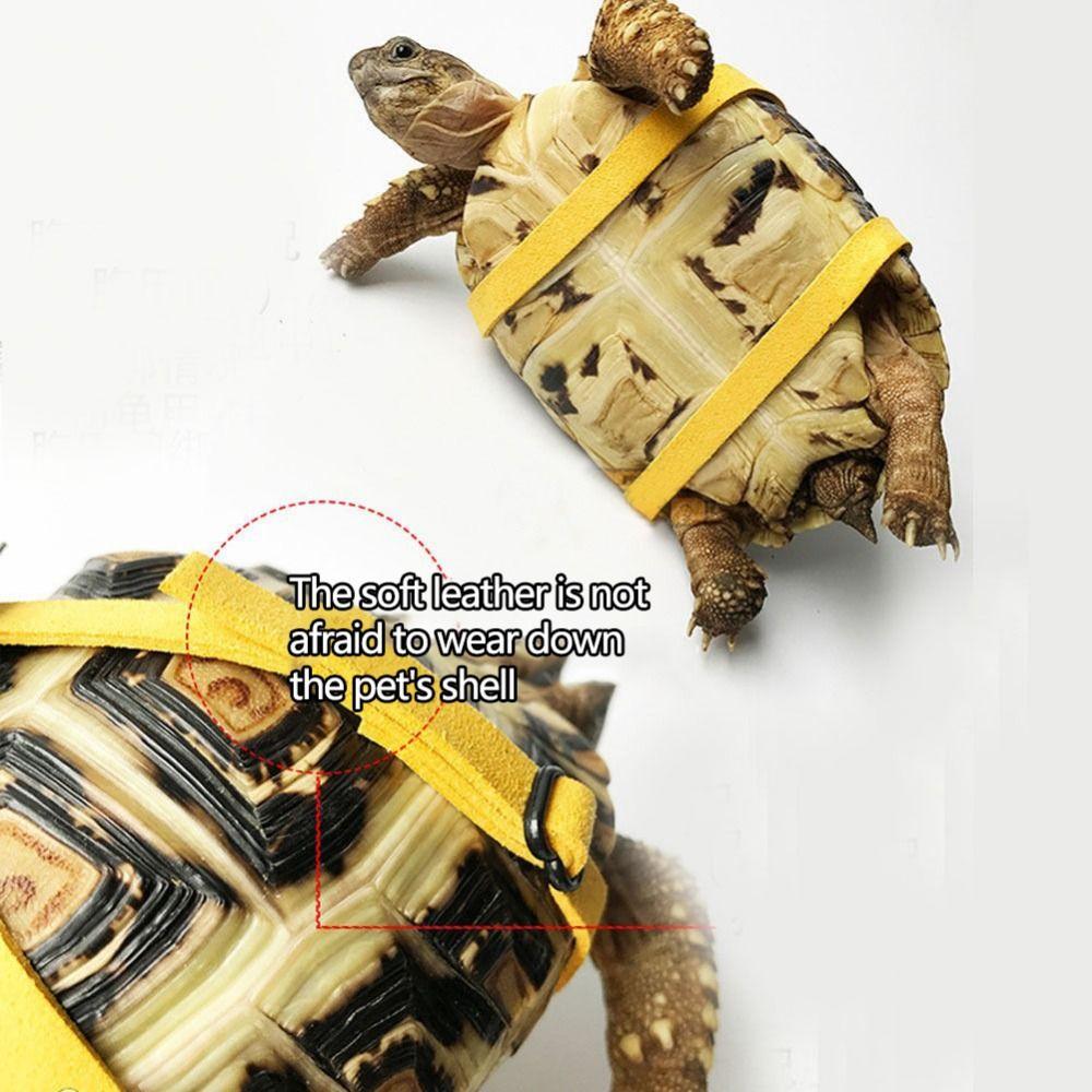 Soft Strap Lizard Traction Rope Creative Pet Turtle Harness Pet Tortoise Leash  Pet Supplies