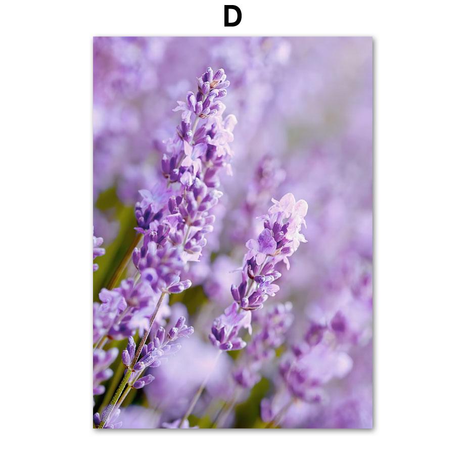 Lavendel Lila Strand Landskap Naturliga affischer och utskrifter Dukmålning Väggkonstbilder för vardagsrum Heminredning