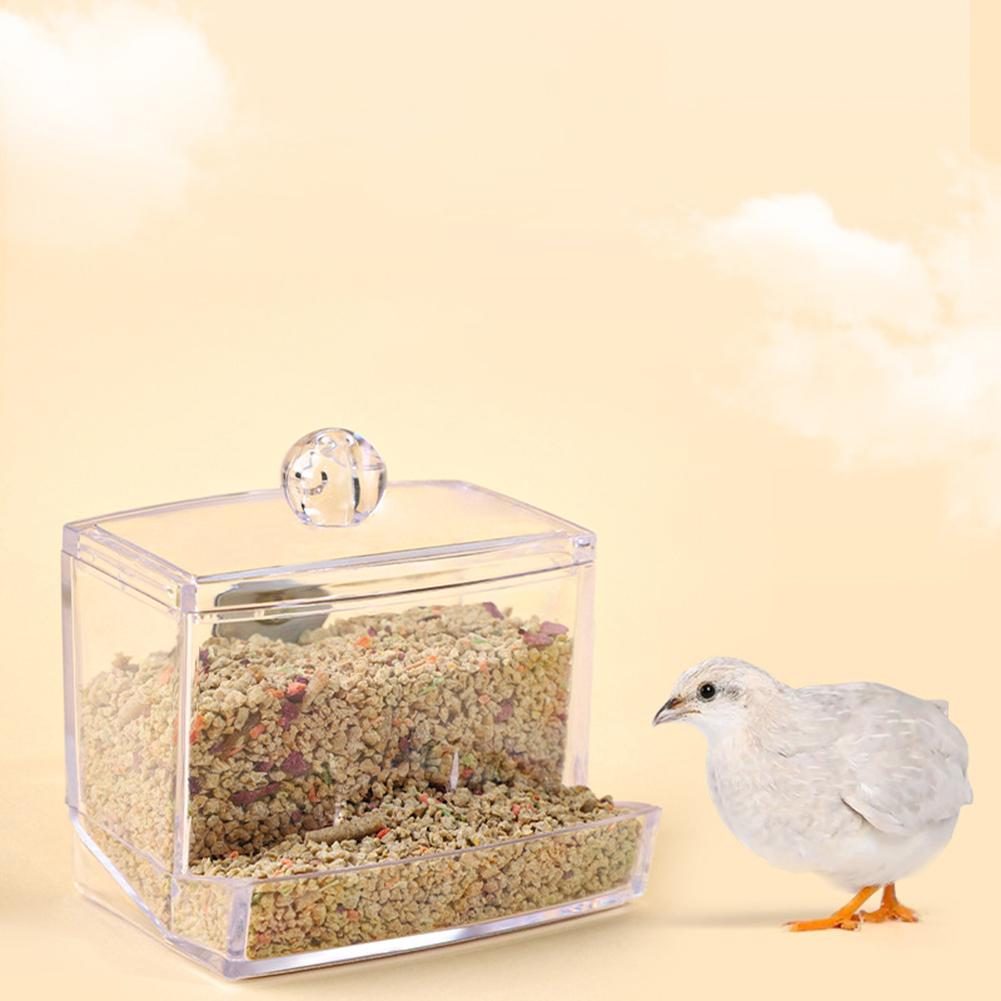 Rutin Chicken Automatic Food Feeder Large Capacity Anti-overturning Food Box Small Animal Feeding Supplies