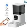 Automatic Pet Feeder with Smart Timing Controller, Cat and Dog Bowl Food Dispenser