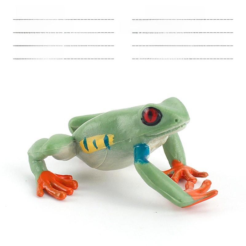 

Tropical Rainforest Animal Rhacophoridae Model Pvc Static Figurine For Education And Collection Style F